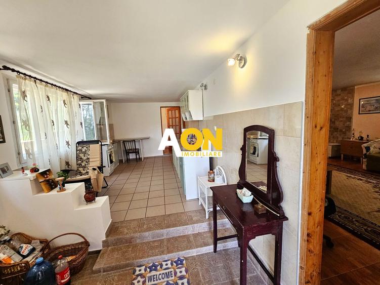 Casa tip cabana de vacanta, 5 camere, 2300 mp teren, zona Schit