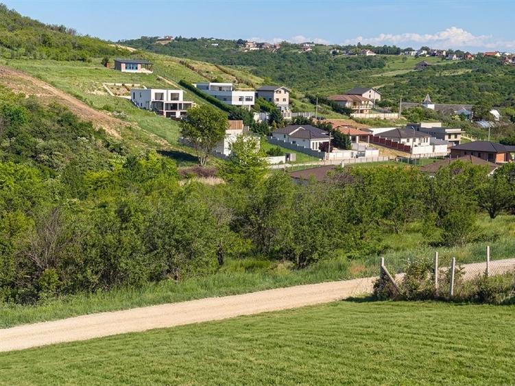 RECO Teren 1000 mp cu dublu front stradal in Saldabagiu de Munte