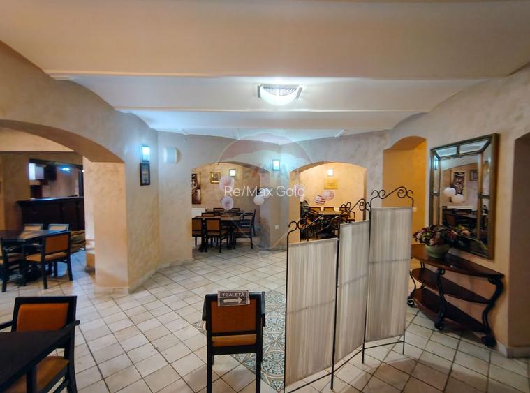 Proprietate speciala, doua vile de patrimoniu restaurate integral - 13