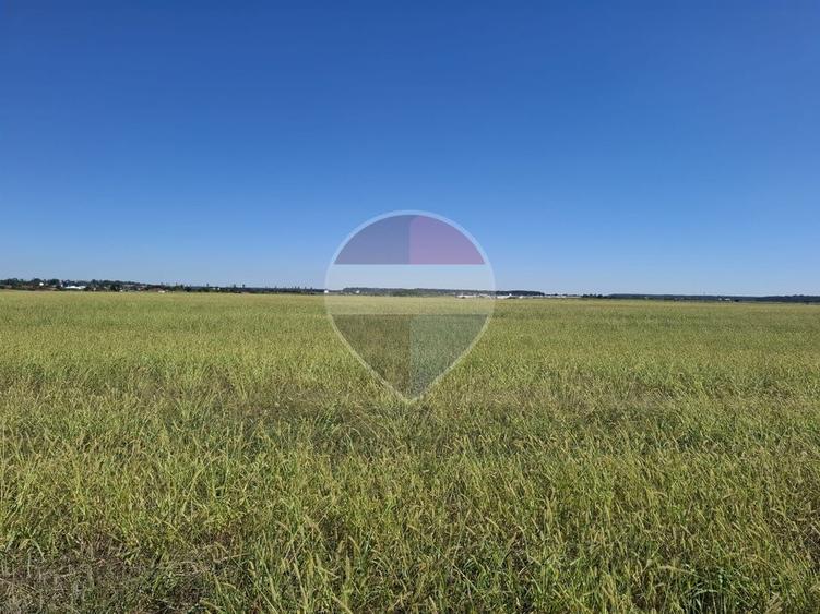Vanzare teren extravilan 5.000mp - Pantelimon