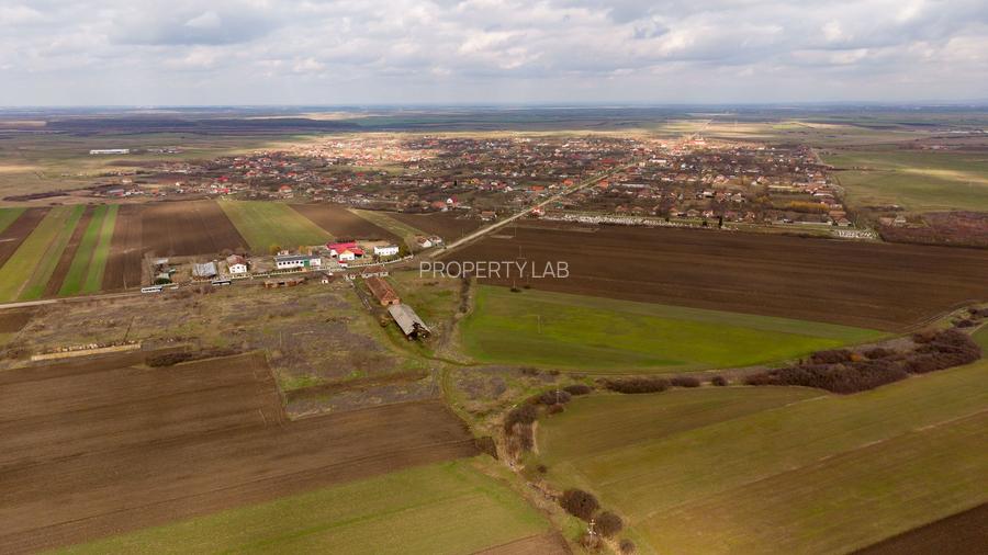 Fermă cu teren intravilan de 35000 mp în Mișca - 2