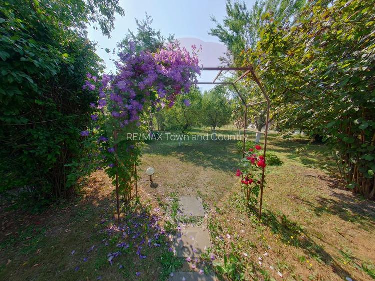 Casa modernă cu 4 camere | Sighetu Marmației | Zonă liniștită - 21