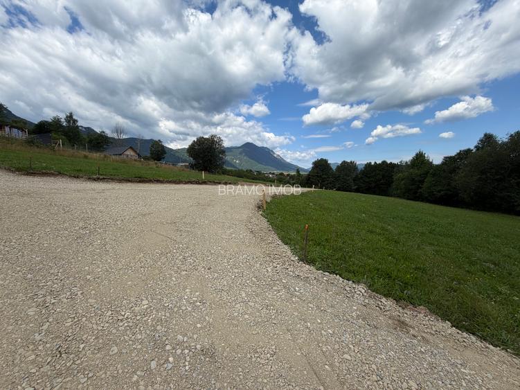 Teren intravilan  1000 mp zona Bran-Tohanita,langa padurela 10 km de Rasnov - 5