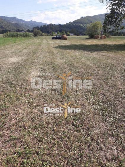 Teren de vanzare Pangarati 58.000 Euro 4488mp Intravilan
