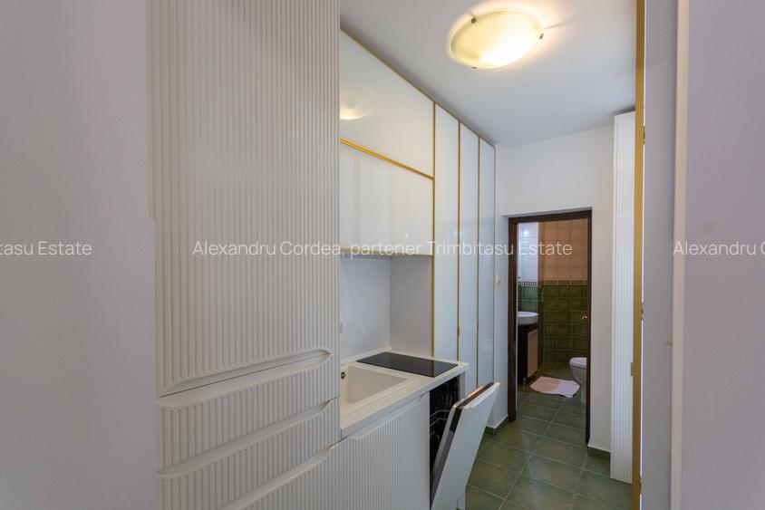 Kiseleff | Arcul de Triumf | Maresal Averescu | Garsonieră de vanzare investitie - 6