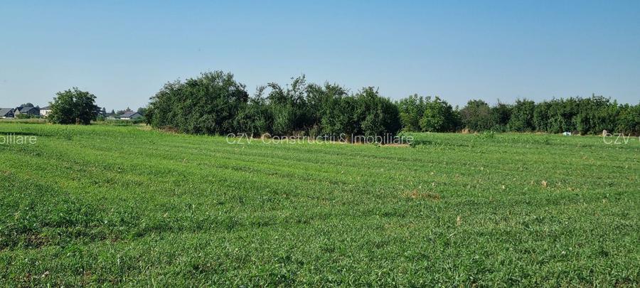 Teren intravilan 2.000 mp, două loturi construibile – Darvari, Ciorogârla - 8