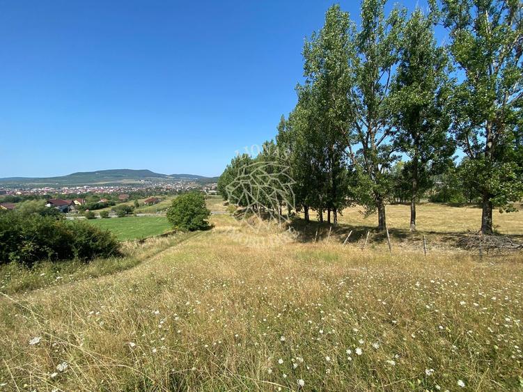 Teren intravilan 2600 mp - pretabil casa/investitie-Zona Aerodrom