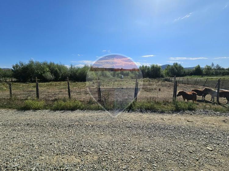 Teren 3,000mp Tisa / Drumul Laga lac