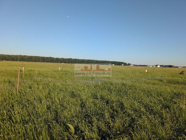 Vanzare Teren Constructii 1000 mp in Pipera Voluntari,