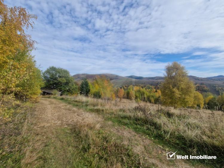 Teren de vanzare – Muntele Baisorii, 1000 mp, vedere spre rezervatia Belioara