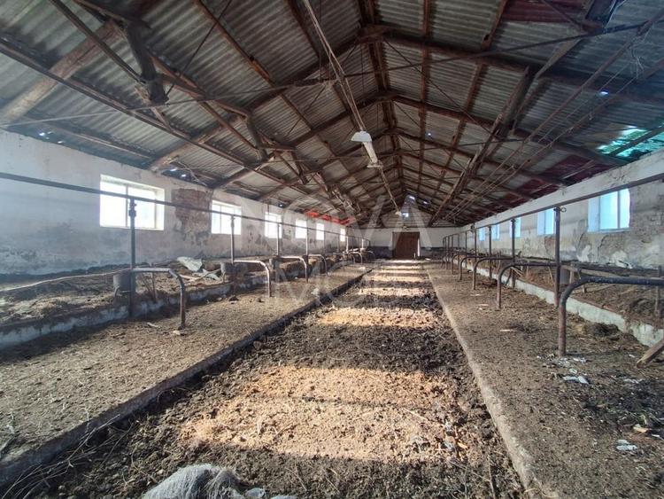 Ferma complet echipata de vanzare – zona Agnita, judetul Sibiu