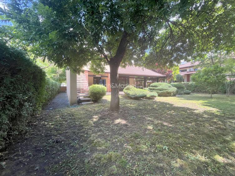 Casă deosebită 5 camere – grădină matură - 41