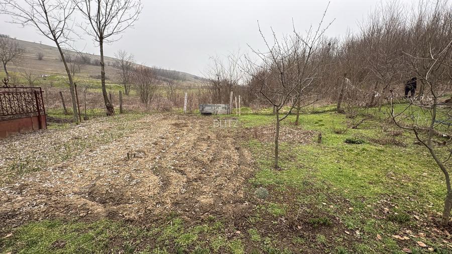 Teren 2.038 mp + Casă 50 mp de vânzare – Sat Luncsoru, Com. Ghercești - 2