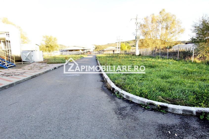 Spatiu de inchiriat Craiesti