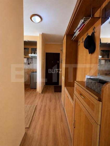 APARTAMENT CU 2 CAMERE, 51,21 MP, ZONA UNIRII - 11