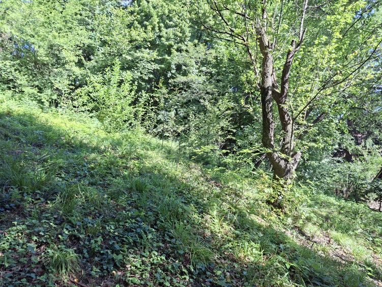 Teren de vânzare în Sinaia – 700 mp | Langa Hotel International!