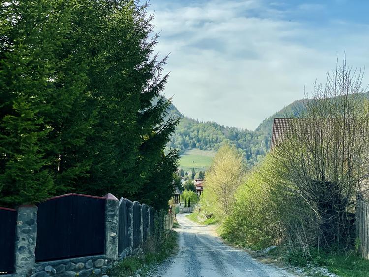 Teren panoramic însorit, utilități, panta mica si pădure, turism sau vacanță
