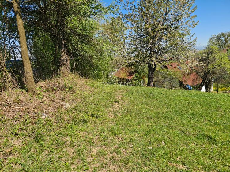 Teren deosebit - 1500 mp, Poiana Angelescu, Str. Livezii - 3