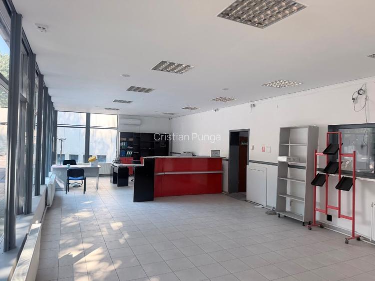 Spatii de inchiriat Sect 4 cu destinatia Service Auto - 4