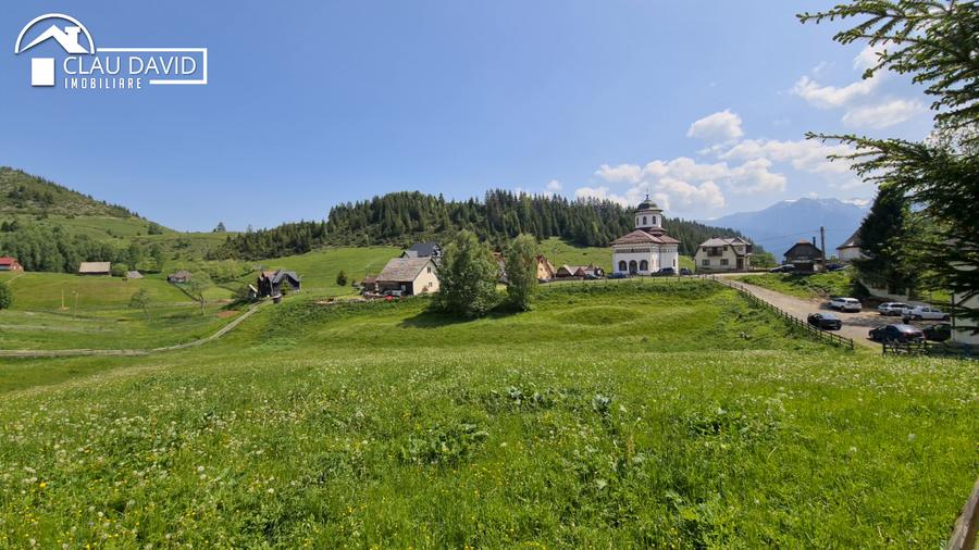 Oportunitate Unică: Teren Intravilan de 4073 mp cu Vedere către Munții Bucegi