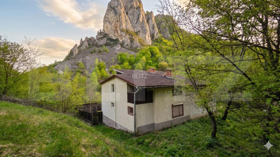 Cabana de poveste în Râmeț | 2000 mp teren + râu pe proprietate | ideală pent - 2