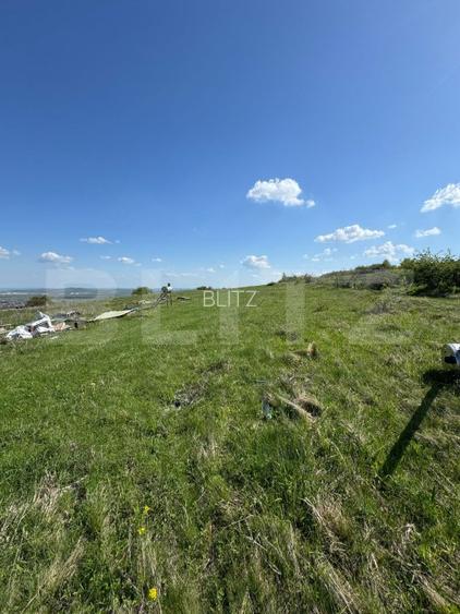 Cabana CHEILE TURZII, teren 8700 mp, priveliste superba - 4