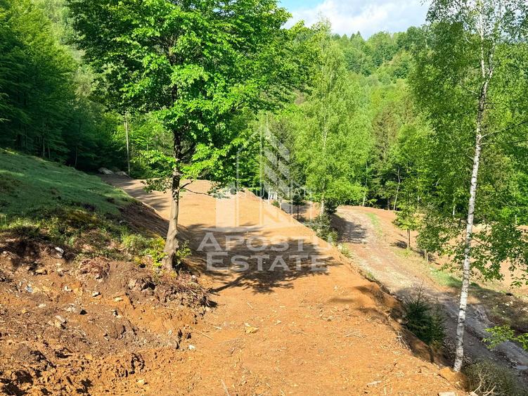 Oportunitate! Domeniu montan, cu lac propriu, oras Lupeni, Hunedoara - 31