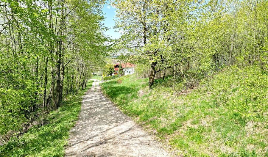 Teren intravilan Bran- Predelut