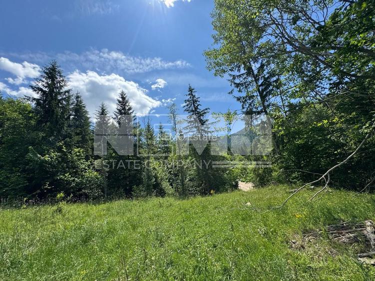 TEREN EXTRAVILAN DE VANZARE | CAMPULUNG MOLDOVENESC | 235.000€ - 6