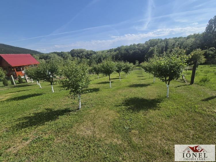 Teren intravilan (2292mp) de vanzare in Vintu de Jos