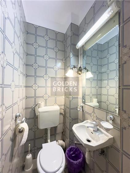 Piata Domenii | Prima inchiriere dupa renovare | 7 camere | Curte