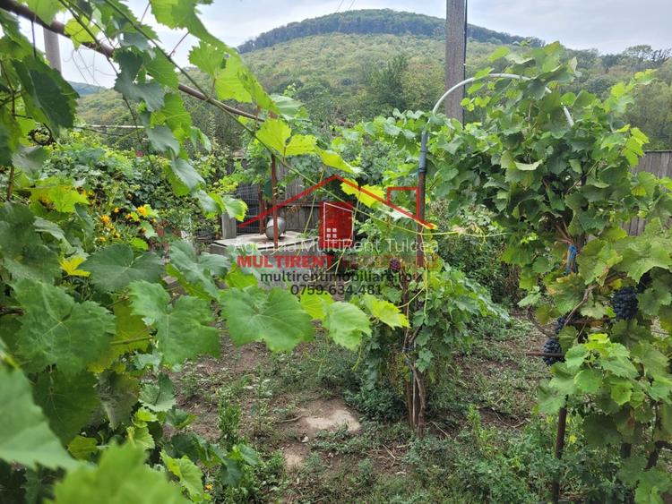 Casa in Telita cu vedere spre padure! - 2