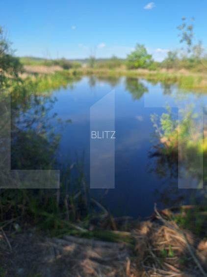 Teren de vânzare 1.600 mp cu deschidere la lac – zona Lacul Surduc - 6