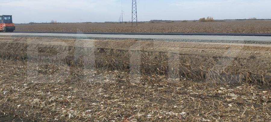 Teren extravilan de 8 ha în C. Șagului la viitoarea centură
