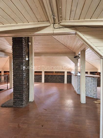 Investment property with character downtown Cismigiu park - 6
