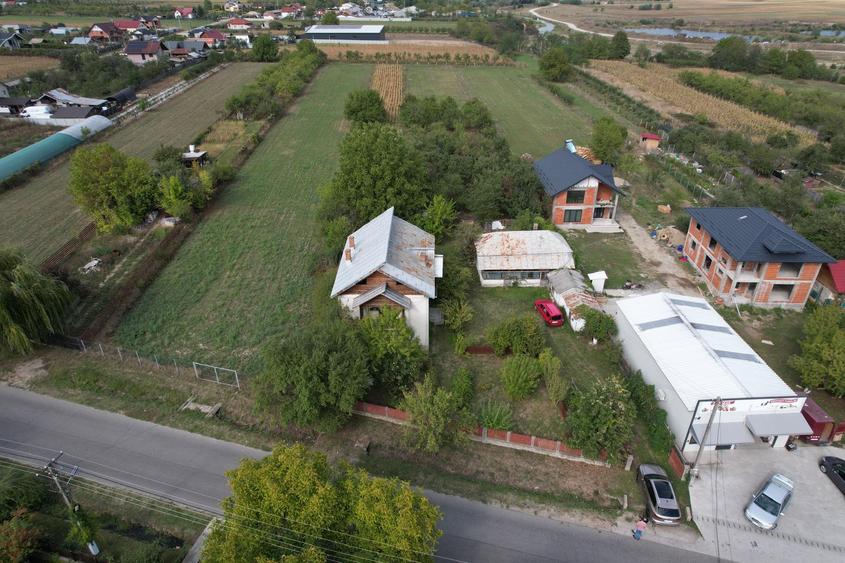 Casa - Vila | Purcareni Micesti Arges | S+P+1+M| teren 4900mp | Livada