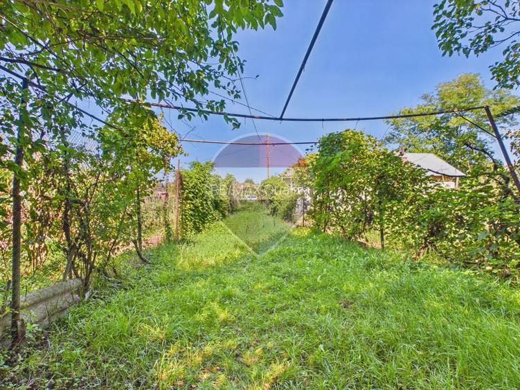 Casă P+1 cu teren, livadă și vie – Pucioasa| Acces facil Sinaia - 25