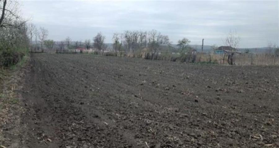 Teren pentru constructii case de vanzare Iasi Prisacani