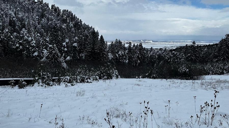 Vand Teren Intravilan 3000mp, PUZ aprobat, Poiana Angelescu, Sacele, Brasov
