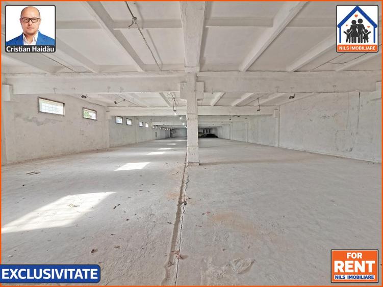 Hale de inchiriat in 1 Decembrie Ilfov | NILS Imobiliare