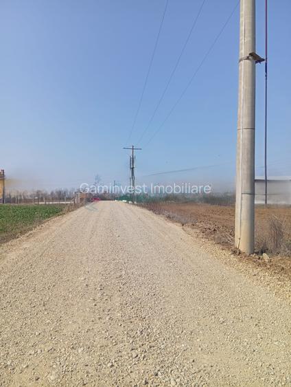 Teren de vanzare in Biharia, cu o suprafata de 20000 mp intravilan - 2