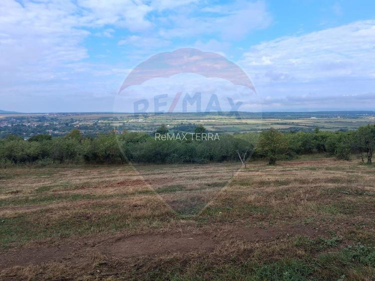 Teren 5,700mp Somcuta Mare / investitie cu potential major - 5