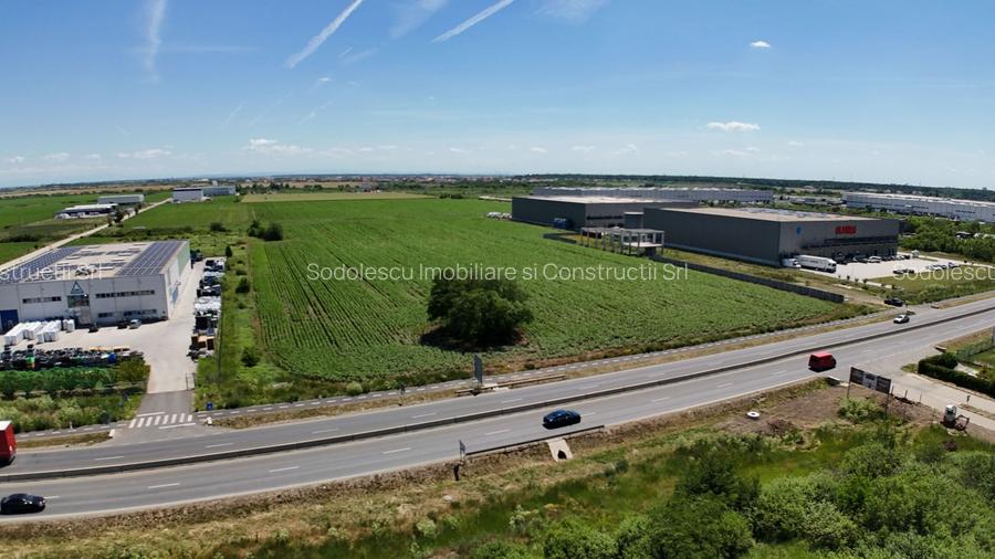 Parcele Industriale DN691 Giarmata | Utilități Incluse - 7