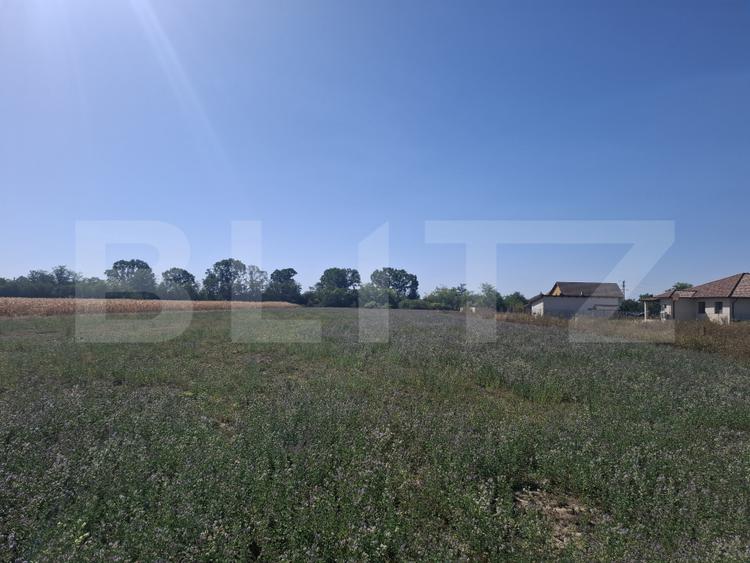 Teren intravilan, 3746 mp, zona Madaras