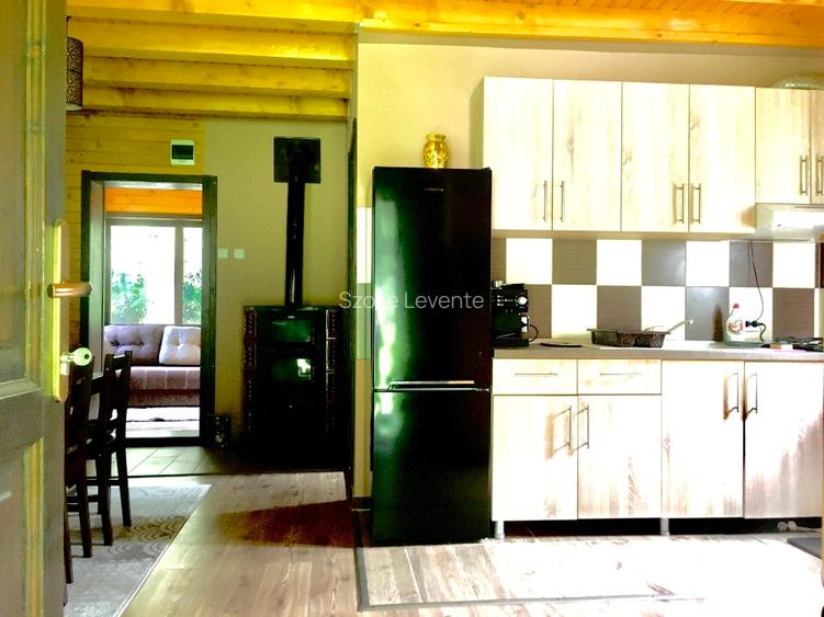 Casa din lemn pe marginea paraului Borzont
