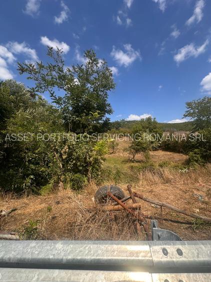 TEREN INTRAVILAN - 2500 MP - Valea Mare- Podgoria - 3