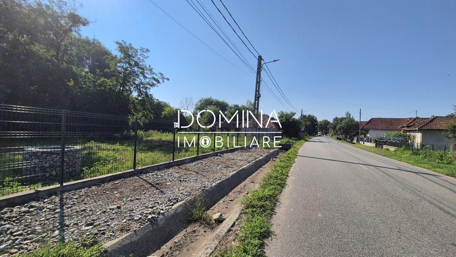 Vânzare teren 3.175 mp, front 66 m.l., comuna Peștișani - sat Brădiceni