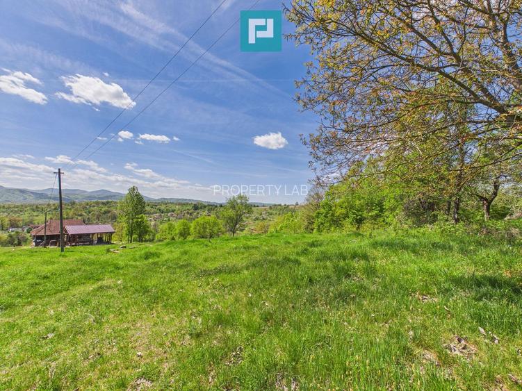 Proprietate rară cu 24.270 mp, în Măgulicea, Arad!