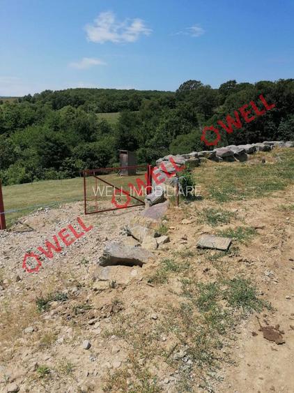 Teren intravilan de vânzare în Calnic! - 2