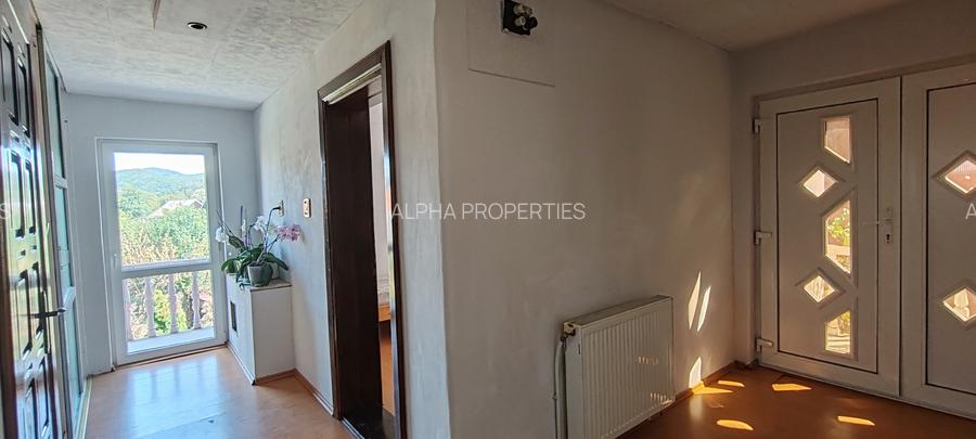 CASA ROMANEASCA IN VECHEA CETATE DE SCAUN - LANGA MANASTIREA CURTEA DE ARGES - 32